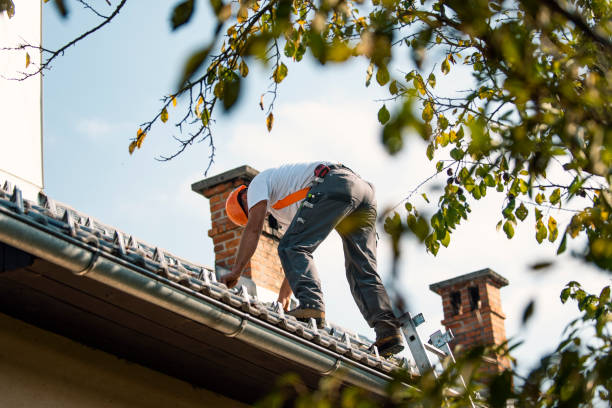 Roof Gutter Cleaning in Butler, AL